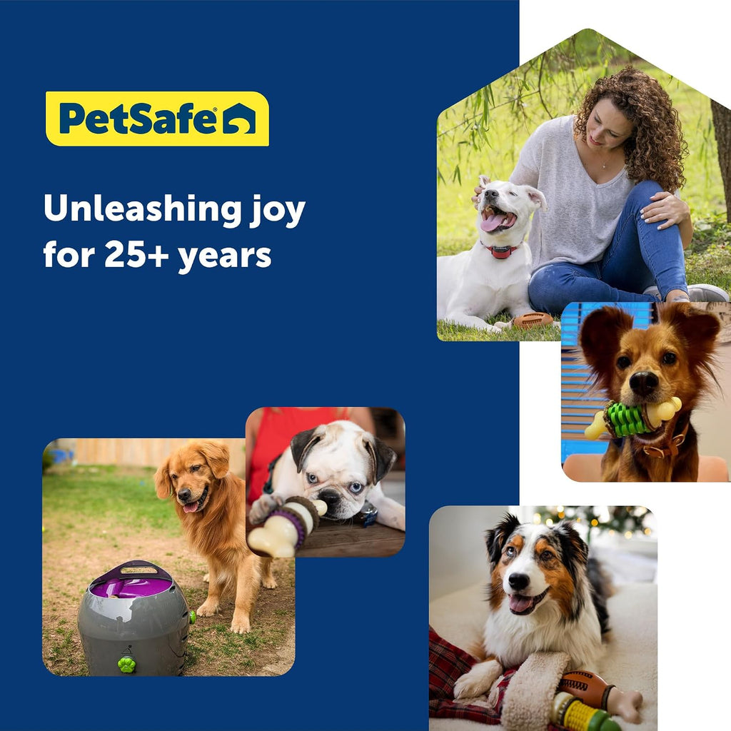 PetSafe Automatic Ball Launcher, Interactive Dog Toy for Enrichment, Tennis Balls Included - Motion Sensor Promotes Safe Play - Indoor/Outdoor - Adjustable Range - A/C Adaptor or Batteries, All Breeds