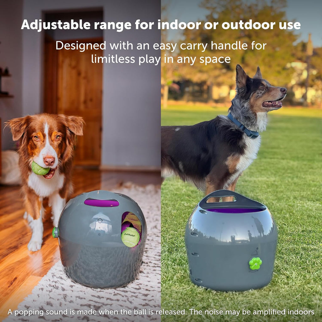 PetSafe Automatic Ball Launcher, Interactive Dog Toy for Enrichment, Tennis Balls Included - Motion Sensor Promotes Safe Play - Indoor/Outdoor - Adjustable Range - A/C Adaptor or Batteries, All Breeds