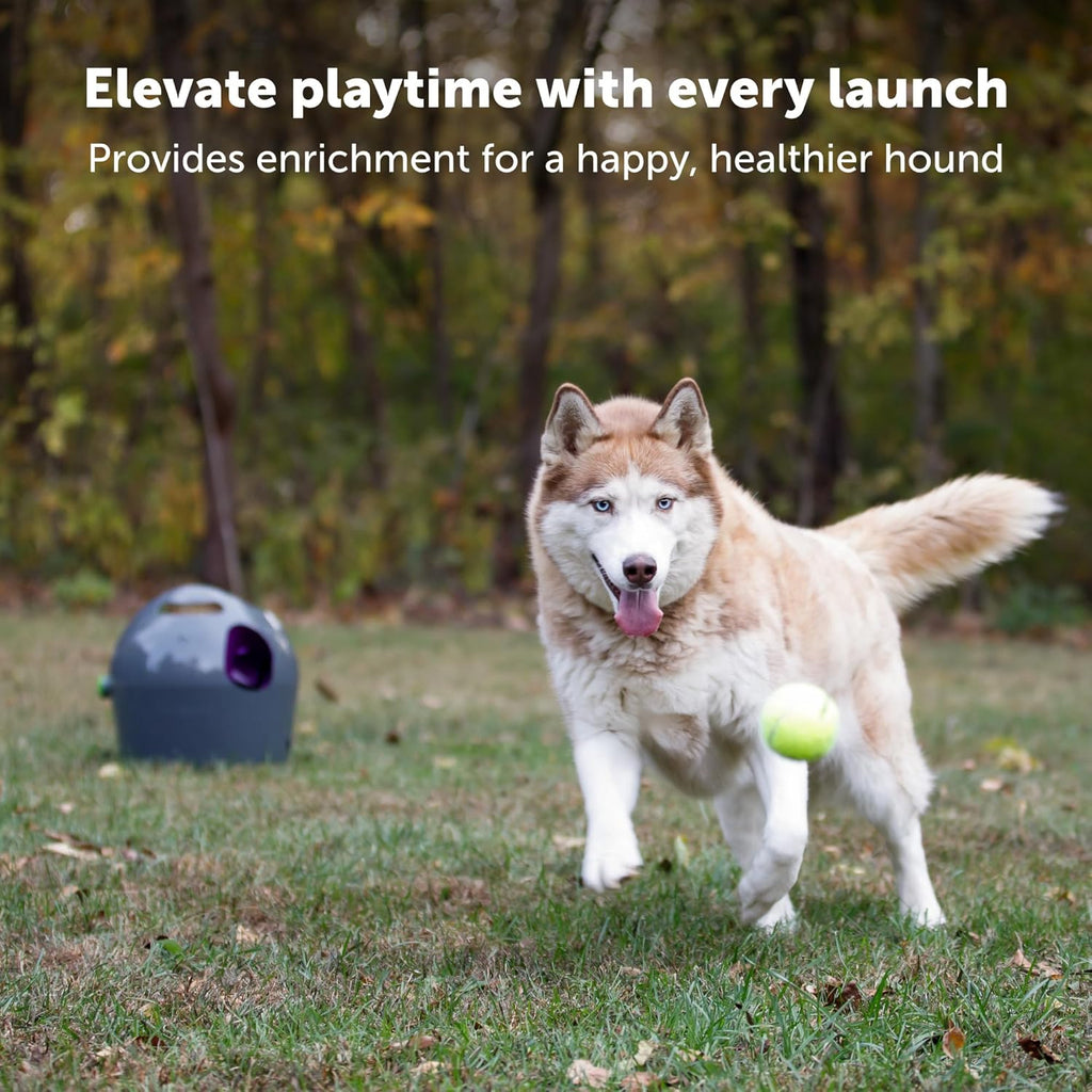 PetSafe Automatic Ball Launcher, Interactive Dog Toy for Enrichment, Tennis Balls Included - Motion Sensor Promotes Safe Play - Indoor/Outdoor - Adjustable Range - A/C Adaptor or Batteries, All Breeds