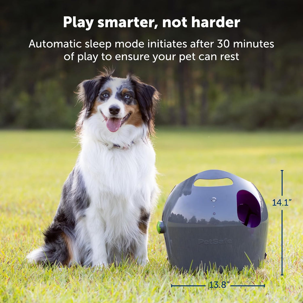 PetSafe Automatic Ball Launcher, Interactive Dog Toy for Enrichment, Tennis Balls Included - Motion Sensor Promotes Safe Play - Indoor/Outdoor - Adjustable Range - A/C Adaptor or Batteries, All Breeds